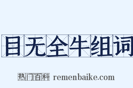 目无全牛组词是什么意思的图片